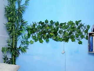 bbw-charlote's Live Sex Cam Show