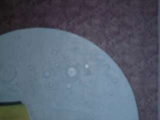 emma-nakamura