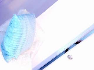 Ms BigCock Bustamante