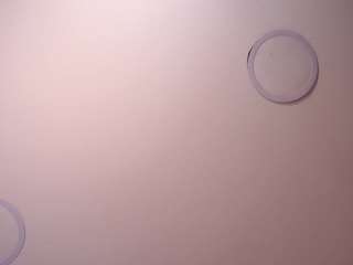 sharomross Live Webcam on CamSoda