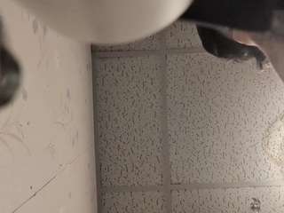 Publicfun206