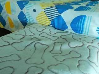 edwardtrans17 webcam