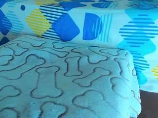 edwardtrans17 webcam