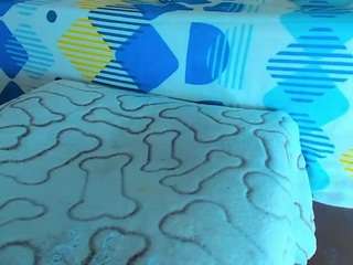 edwardtrans17 webcam