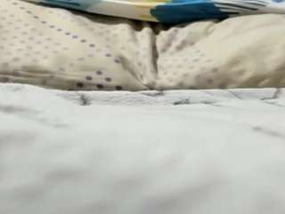edwardtrans17 live webcam show