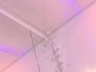 Chloe Ferreira live cam preview