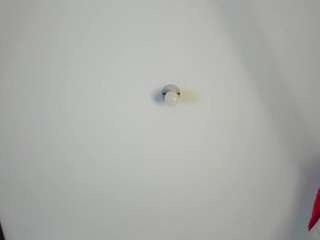 andrea-williams webcam