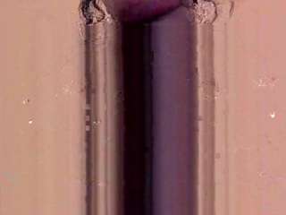 adabennett webcam