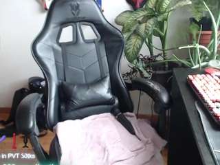 catsalo webcam