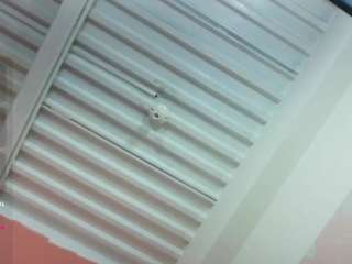 kinkyhousewifee webcam