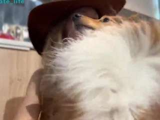 honeypeony