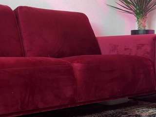 shyrubate live cam preview