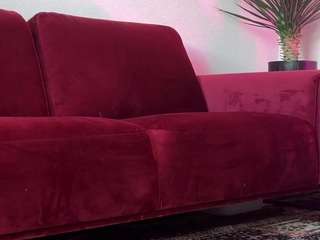 shyrubate live cam preview