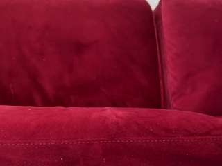 shyrubate live cam preview