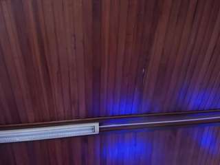 saracorraless Toy live webcam