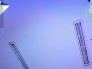 saracorraless webcam