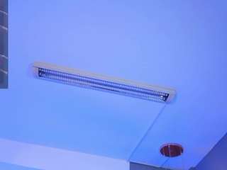 saracorraless live webcam show