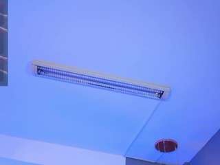 saracorraless live webcam show