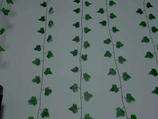  miaa-garcia chat room