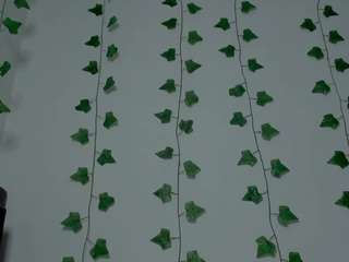 miaa-garcia webcam model