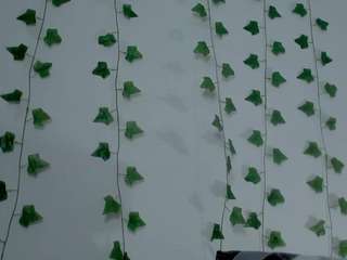 miaa-garcia Live Webcam on CamSoda