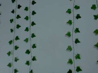 miaa-garcia live cam profile