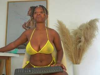 sowfit webcam