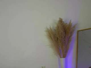 sowfit