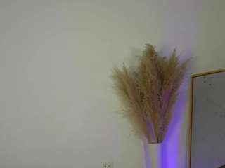 sowfit webcam