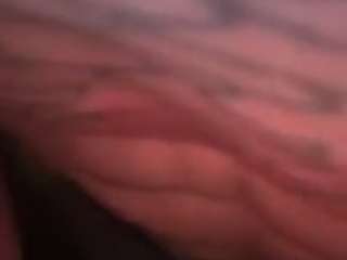 shaneedigital