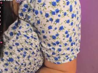 monasteele webcam model