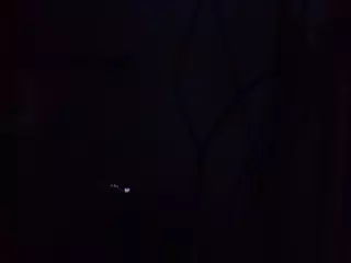 DianaRare's Live Sex Cam Show