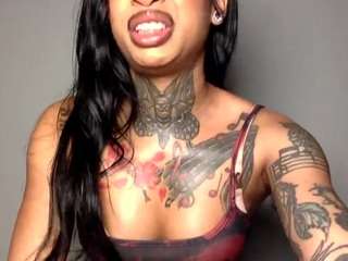 trinityteighlour webcam