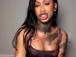 trinityteighlour webcam