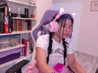 cositarika1