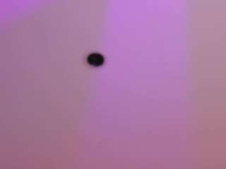 crystal-watson Sex Cam Show
