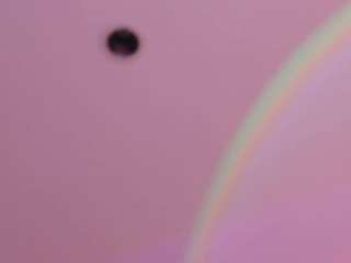 CrystalW live webcam show