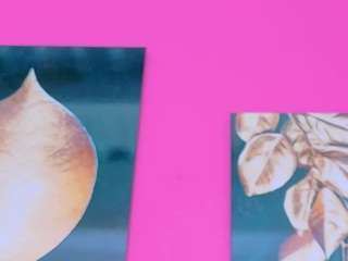 le modèle lilisantos est en webcam porno dans un show sur le site camsoda, il possède les tags suivants: ahegao,role-play,amateur,nature,no drinking,no smoking,public,pussy,sexting,lush,shaved pussy,strip,tattoos,tease,teen (18+),toys,young adult,mature,middle aged,lovense