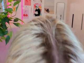 alichery