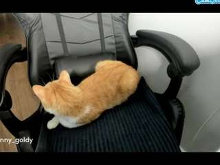 jinnygold
