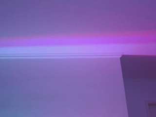 lilyroselyn