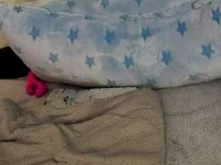 diane26 webcam model