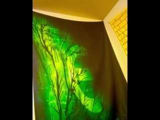 shadowvmyers Sex Cam Show