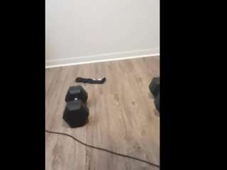 shadowvmyers Sex Cam Show