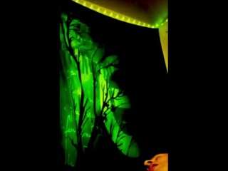 ShadowV5551