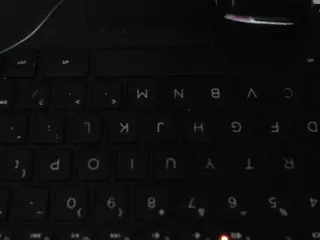 Xoxo's Live Sex Cam Show