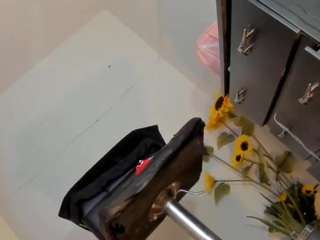 bunnyassx webcam