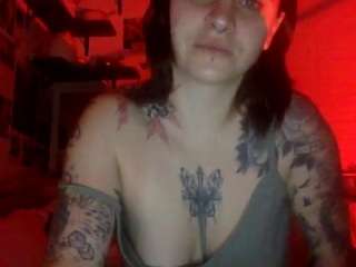 kittysplaypen1 webcam