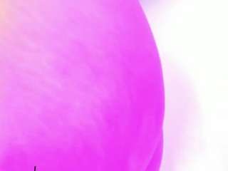 melissa-horney