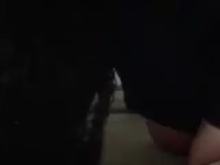 DICK TEASER's Live Sex Cam Show